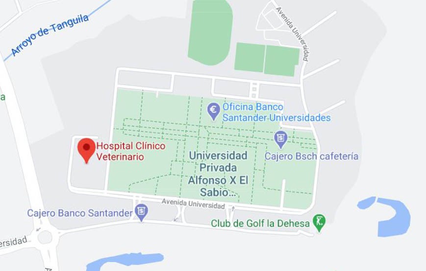 Hospital Clínico Veterinario UAX